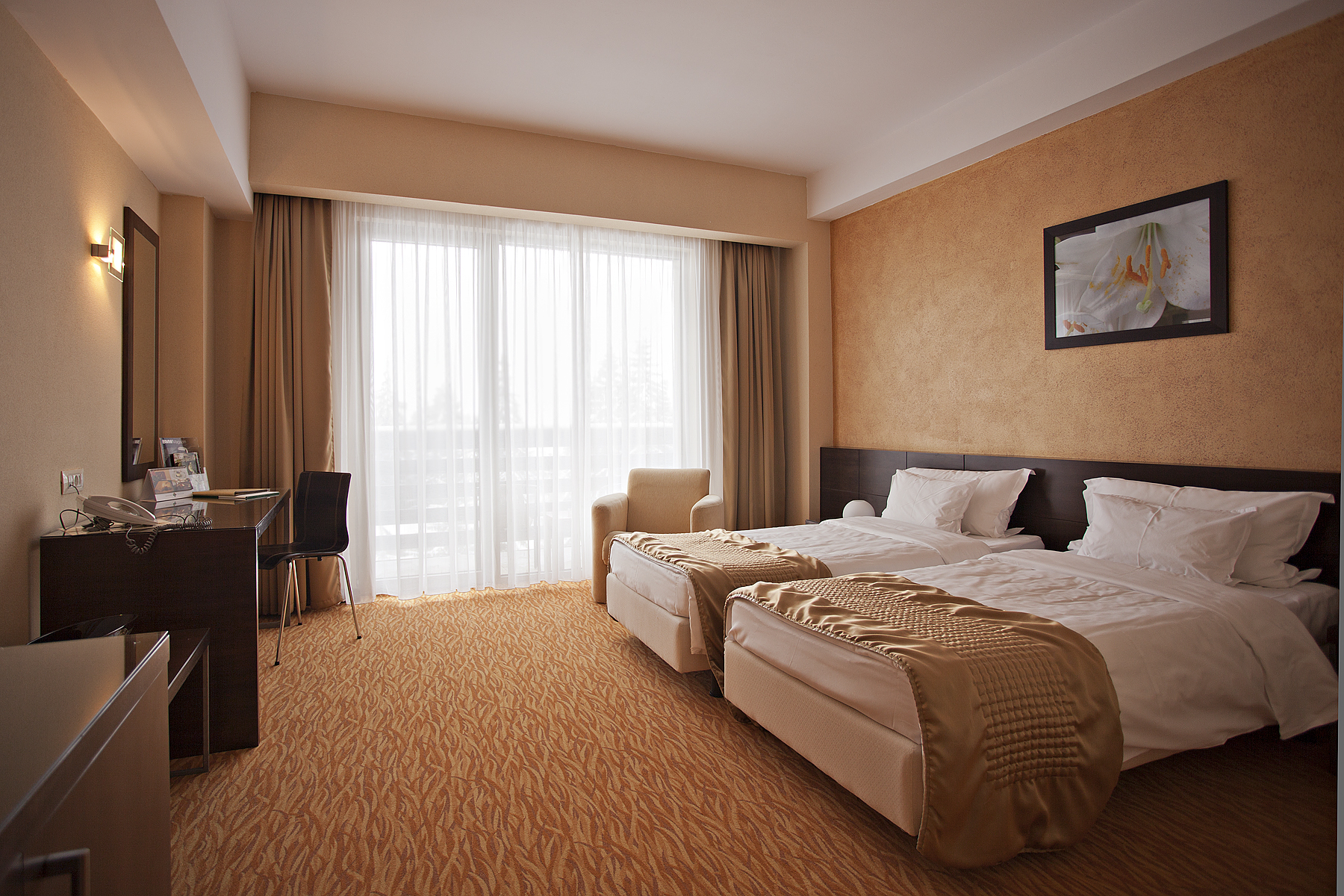 Cameră Standard Twin Hotel Clermont